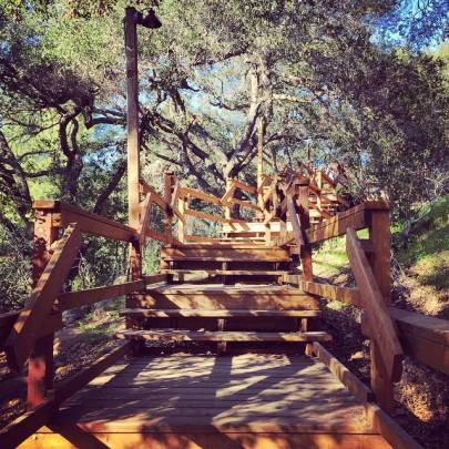 Mayra 11016722_10153155574714715_3033034683319964493_n (1)