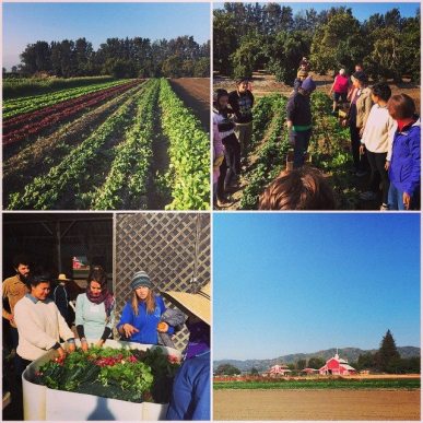 Mayra 11016722_10153155574714715_3033034683319964493_n (3)