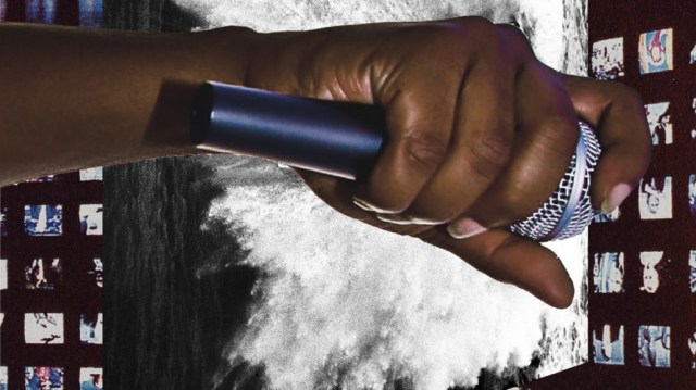 2016-wwf-artwork-by-aysha-tea_02_web-890x500