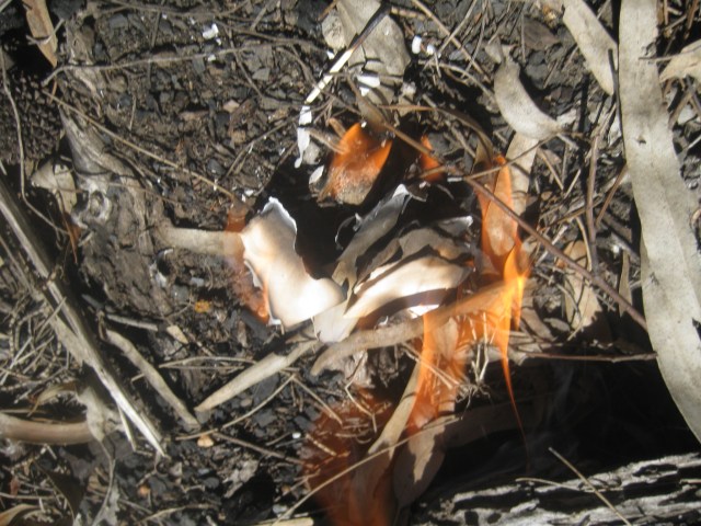 burning paper