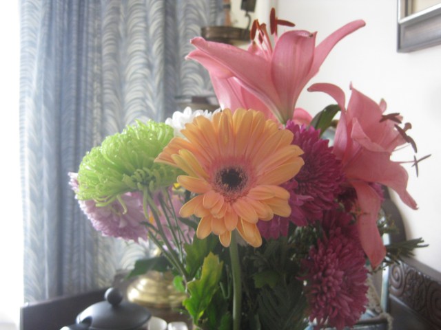 Wild Daisies bub bridger love poems nz new zealand woman female poets