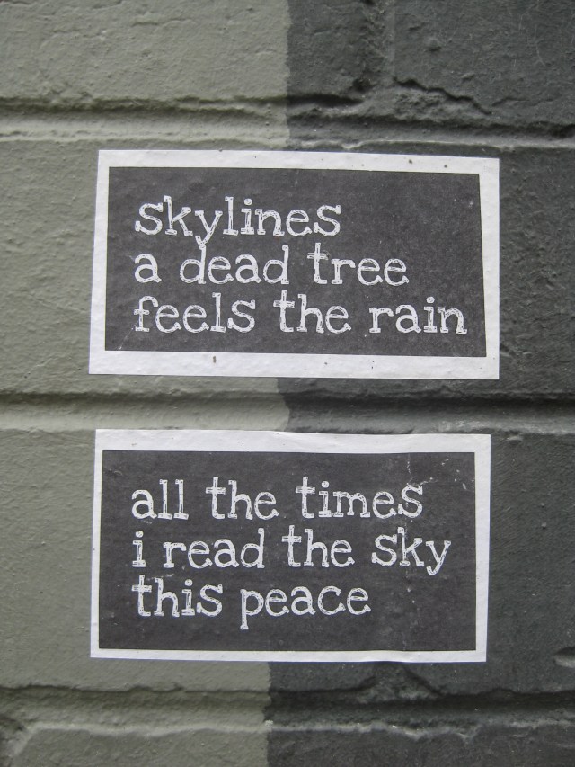 graffiti brunswick skylines a dead tree feels the rain all the times I read the sky this peace