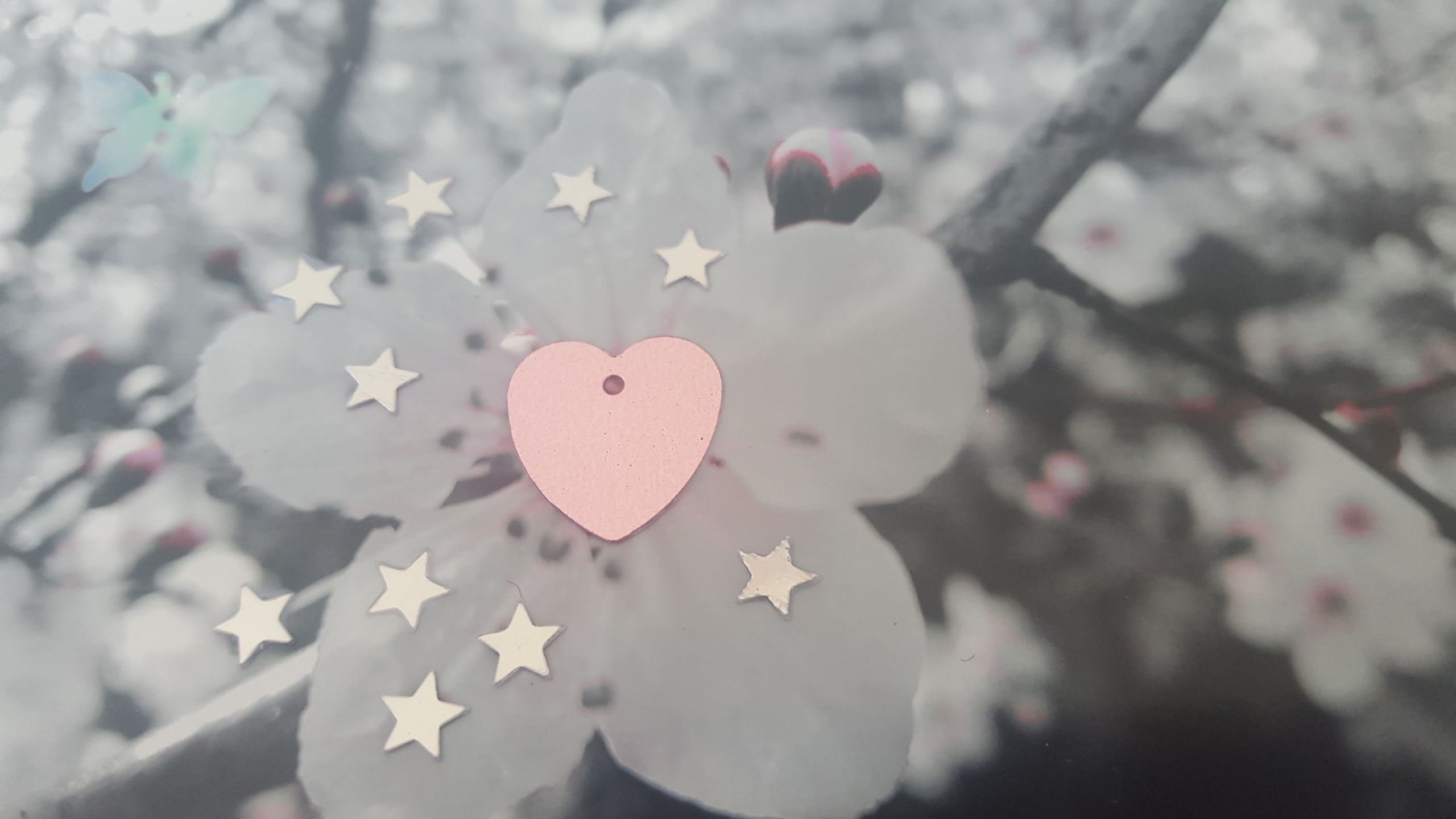 Equal voices Conference October 2018 banner