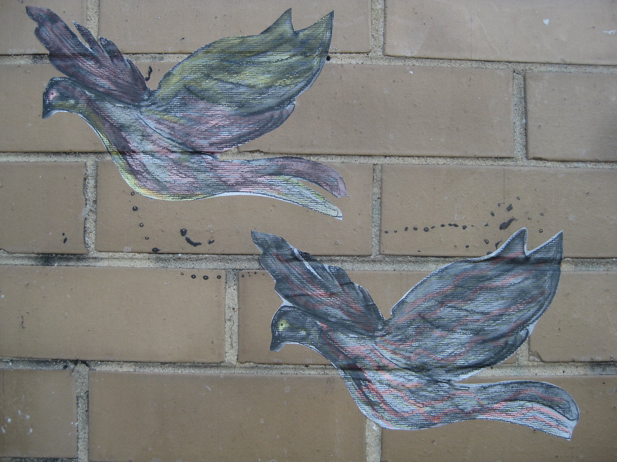 Footscray disability pride wall paste ups birds