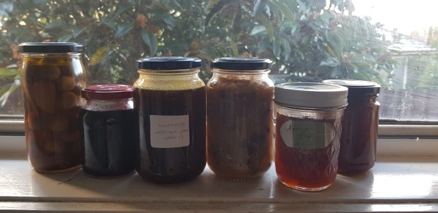 jars of preserves lined up on the window sill intentional community
