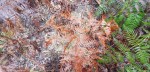 20190907_102302
