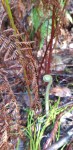 20190907_104155
