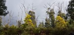 20190907_105052