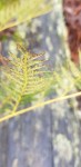 20190907_105223
