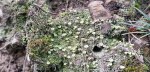 20190907_115056