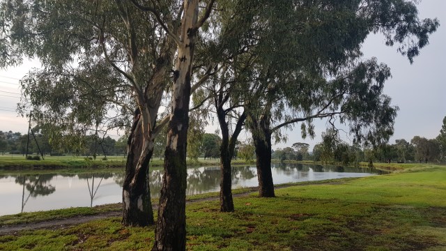 Maribyrnong river footscray